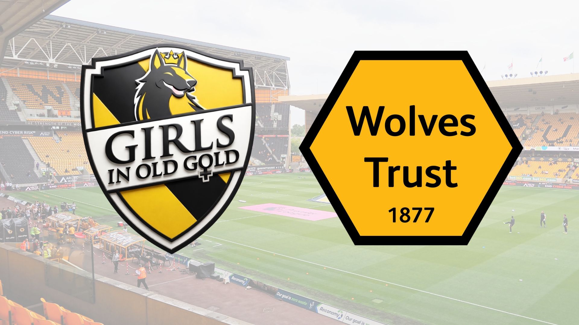 Girls in Old Gold becomes an affiliated member of Wolves 1877 Trust